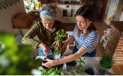 Gartenarbeit im Haus für Senioren: Verbesserung der geistigen Gesundheit